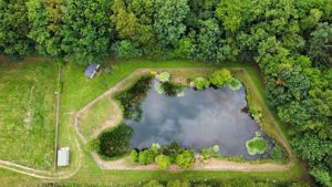 Photo 2- click for photo gallery